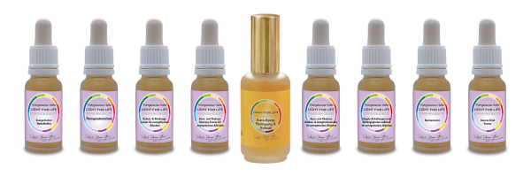 Essenzen Set Heiler (je 15ml)