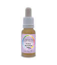Essenz Positive Ausrichtung (15ml)