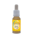 Essenz Schutz & Zentrierung (15ml)